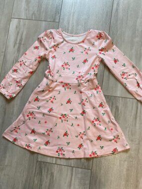NWOT Sugar Bee Emily Pink Long Sleeve Fit and Flare Dress in Red Heart Flora